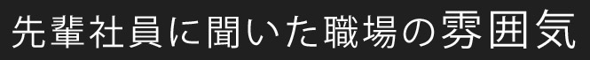 先輩社員に聞いた職場の雰囲気